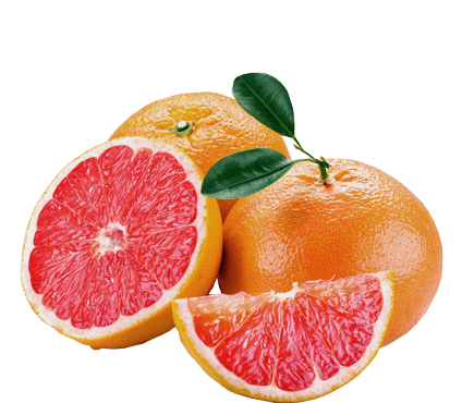 Grapefruit